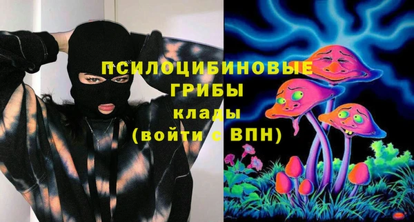 spice Алзамай