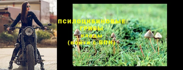 spice Алзамай