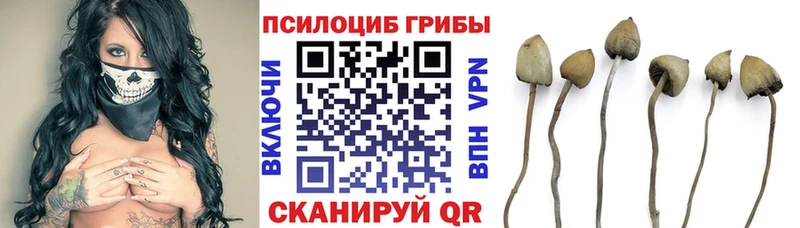 это наркотические препараты  Заполярный  Псилоцибиновые грибы ЛСД 